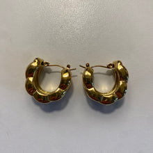 Load image into Gallery viewer, Petra Earrings
