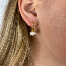 Load image into Gallery viewer, Lorenza Earrings
